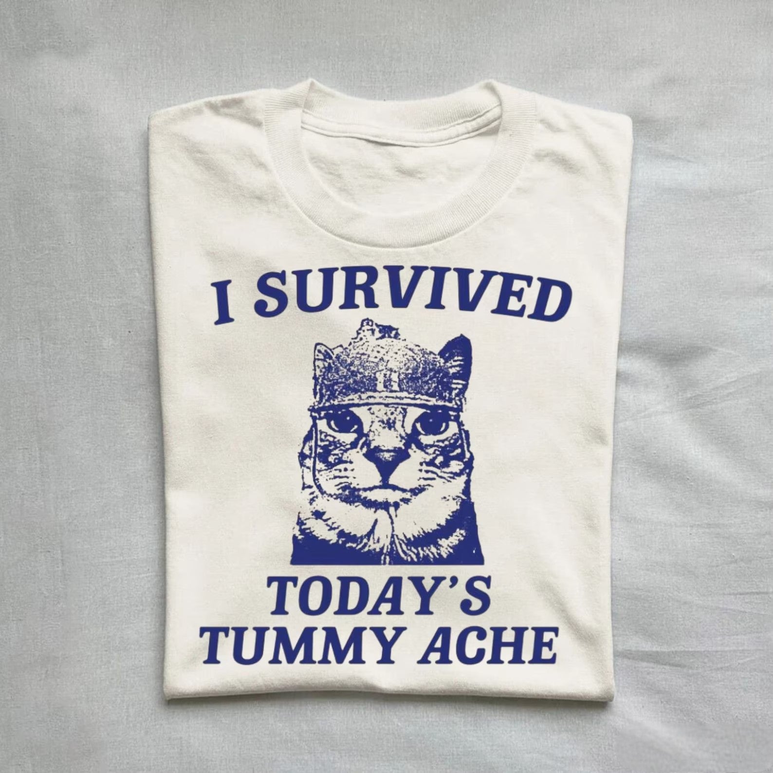 Casual "I Survived Today’s Tummy Ache" tee with cute cat design.
