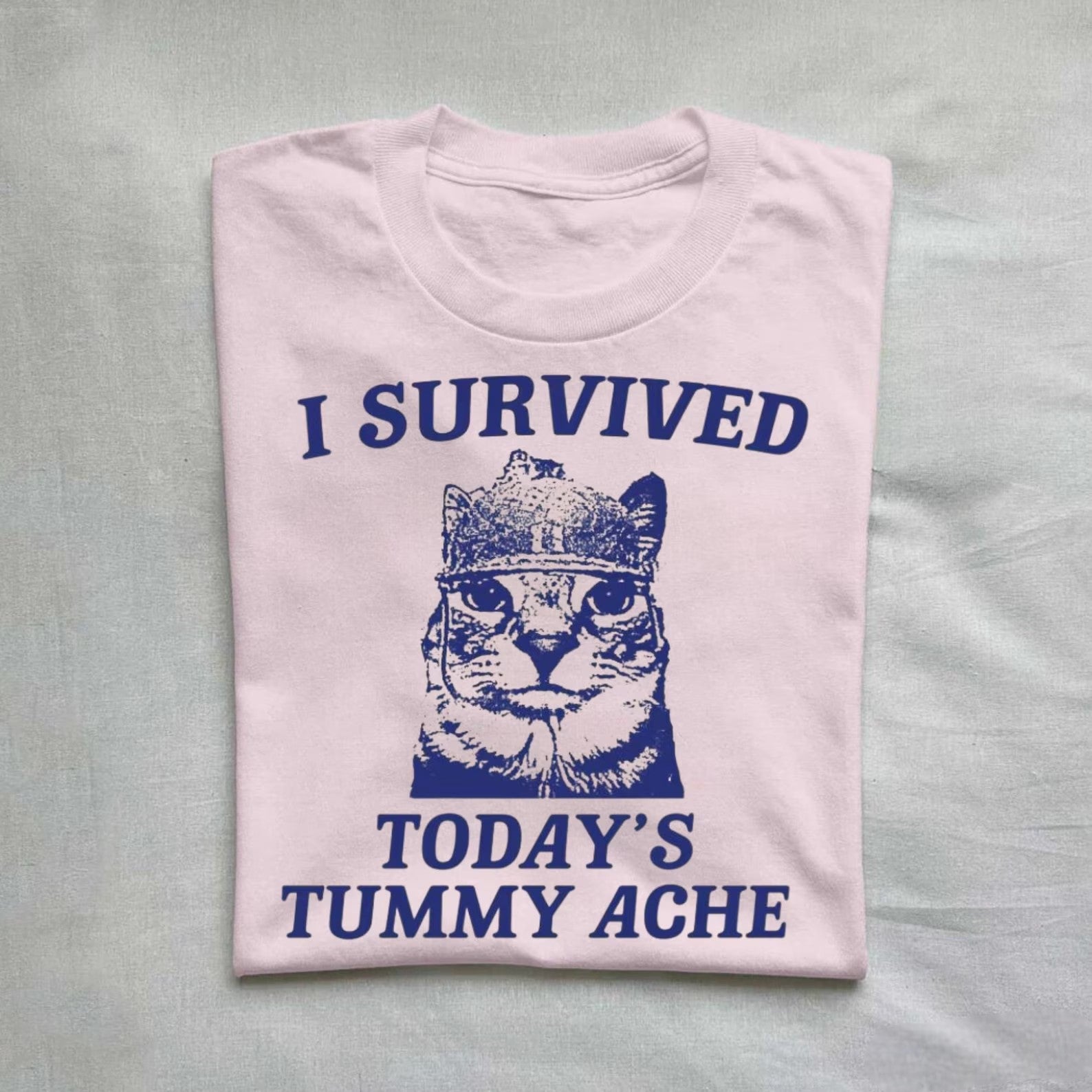 Playful graphic t-shirt featuring a cat and a humorous tummy ache quote.