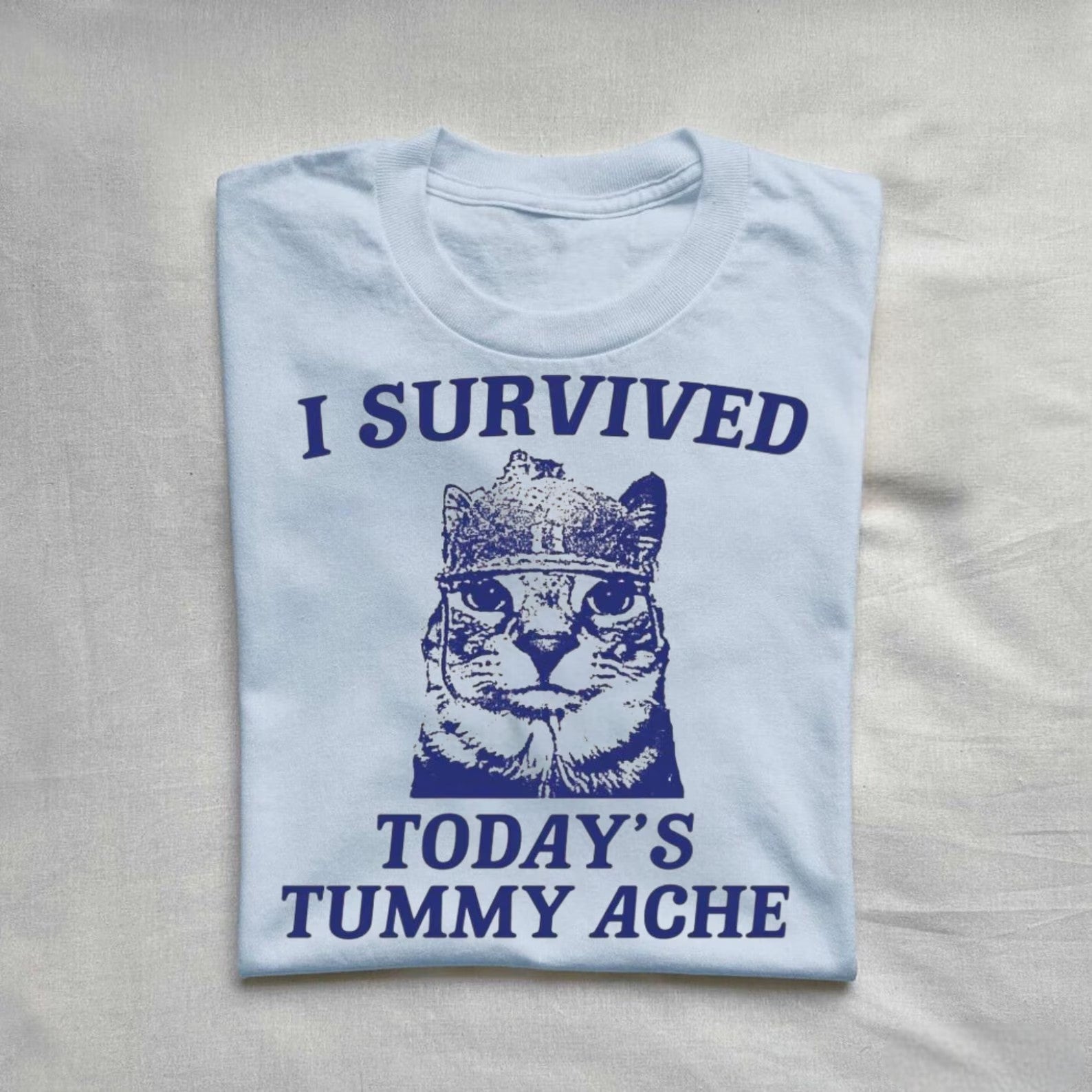 Funny cat graphic tee with "I Survived Today’s Tummy Ache" text.