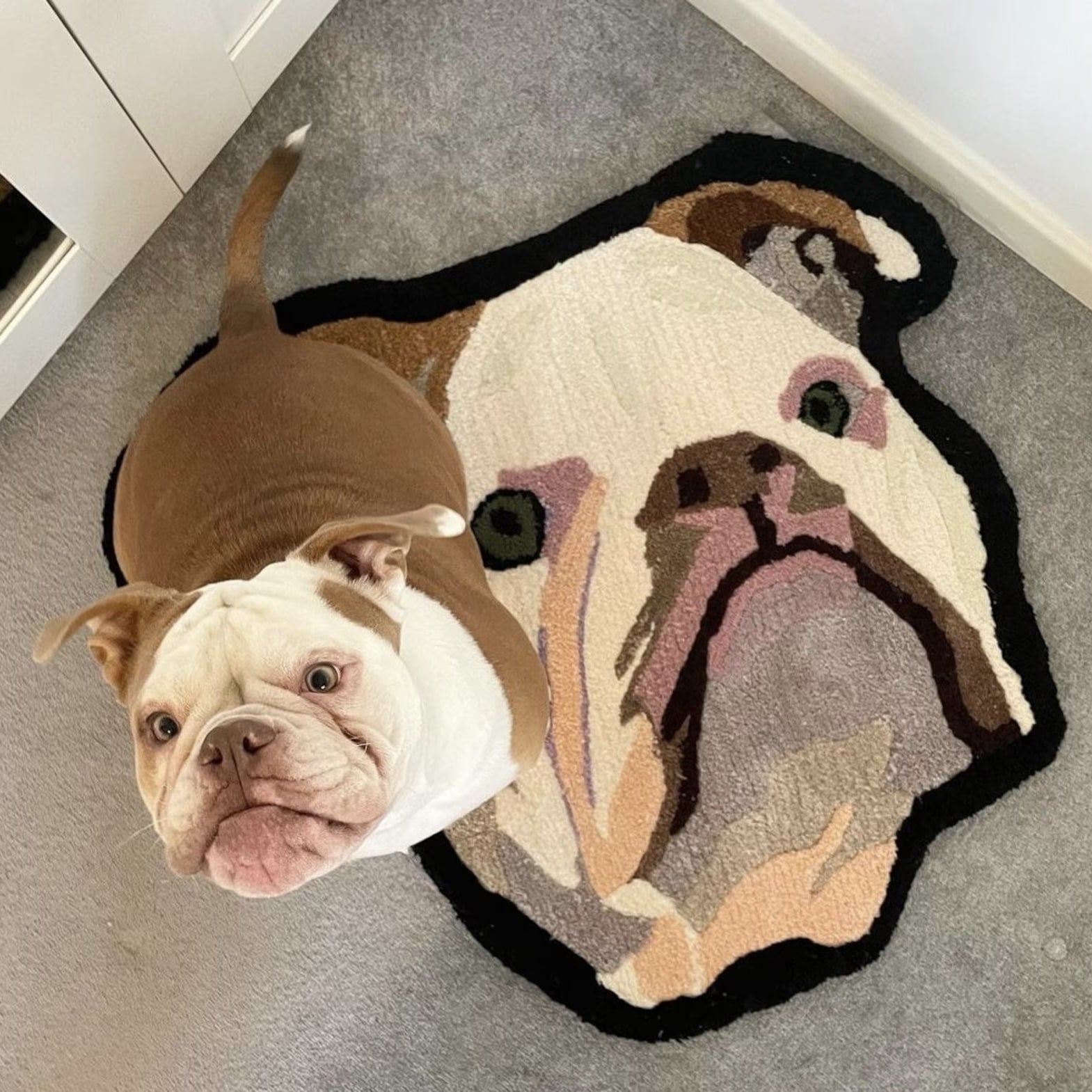 Custom pet portrait rug with a bulldog design