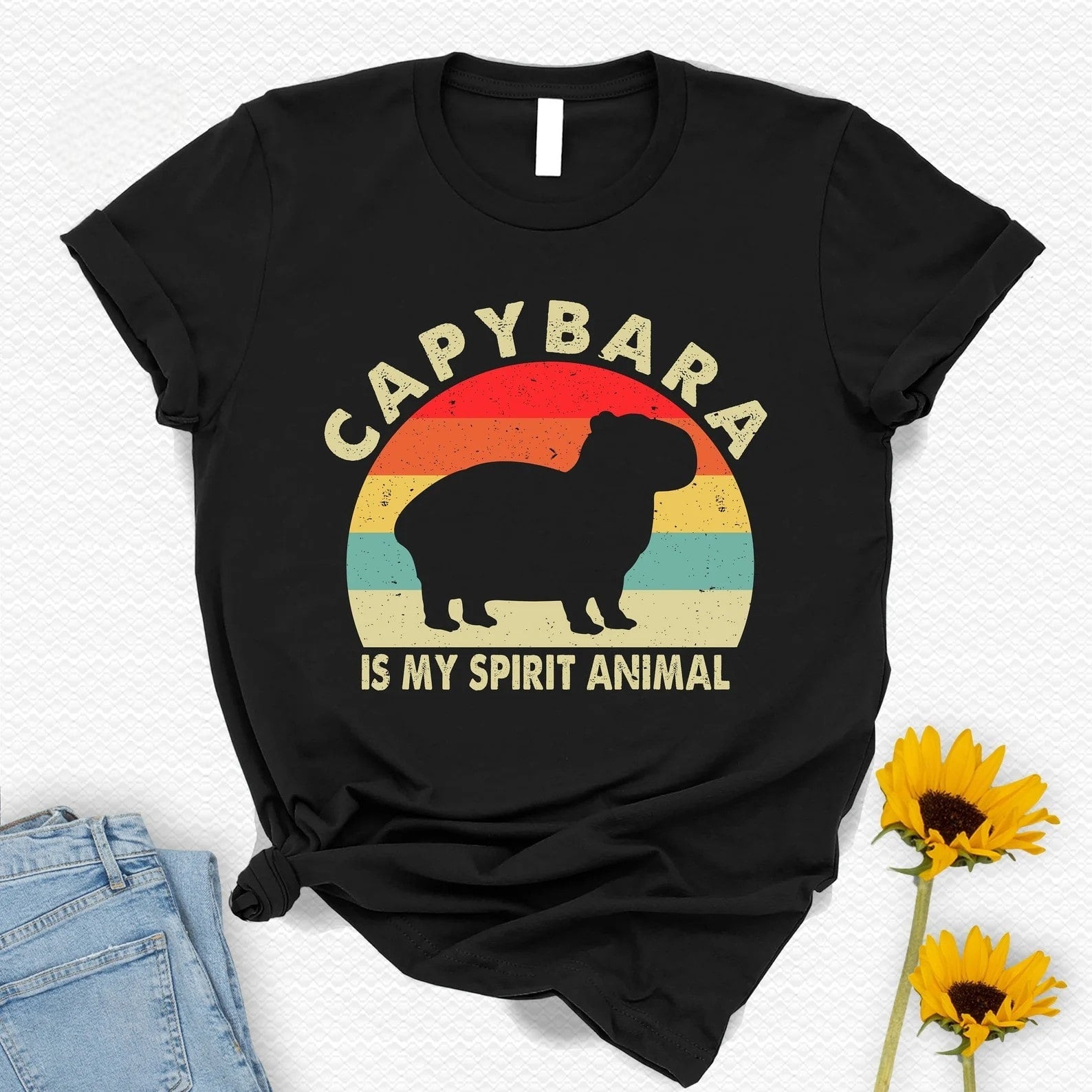 Black capybara graphic tee with vintage rainbow sunburst design