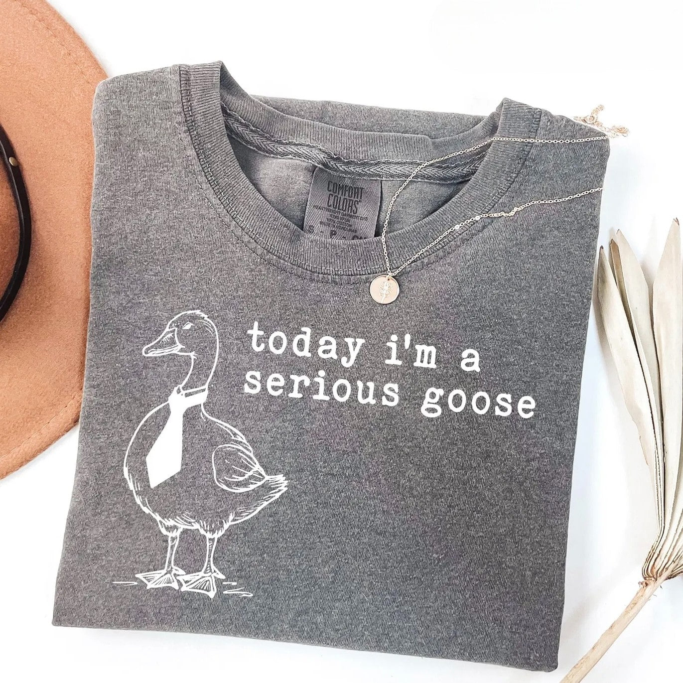 Fun goose graphic tee in grey with playful text